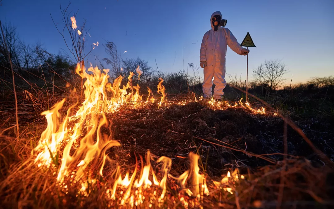 Edison Could Be To Blame for Fairview Fire in Hemet