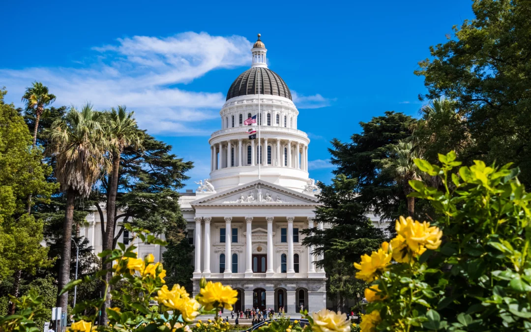 New Laws in California in 2023: What You Need to Know