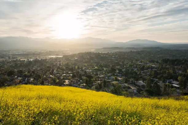 a panoramic view of the city of Northridge, a service area of PARRIS Law firm.